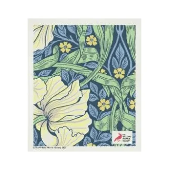 Houbička Houbička - drchnička modrá