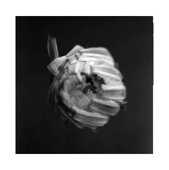 Zahraniční hudba CD A Swarm Of The Sun: An Empire 2024