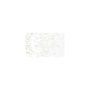 Olejová barva Olejová barva Old Holland 40ml – 002 Zinc White