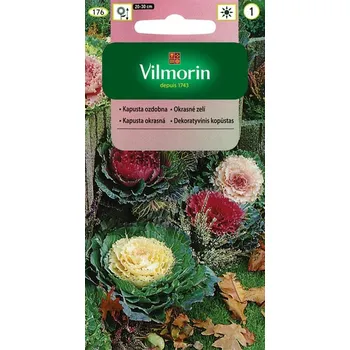 Semeno Vilmorin Směs kapusta okrasná 40 ks