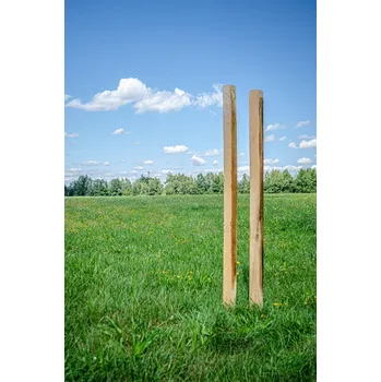 Plotový sloupek Akátový kůl hranol 80x80x1500 (mm)