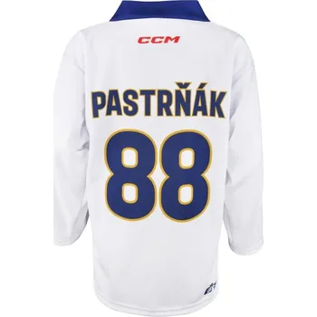 Dětský hokejový dres Český hokej 24/25 bílý