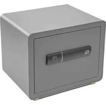 Trezor Trezor G21 na otisk prstu 380 x 310 x 300 mm