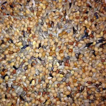 Pro ptáka Krmivo Avest - PRO ASTRILDOVITÉ 06 2,5 kg