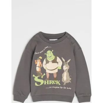 Oblečení a móda Sinsay - Mikina Shrek - šedá - 939CF-90X - 939CF-90X-80