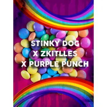 Semeno Tramuntana Seeds - Stinky Dog-Skittles x Purple Punch 3 ks