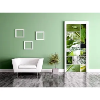 Fototapeta Samolepící fototapeta na dveře - Kapky na listech