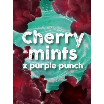 Semeno Tramuntana Seeds - Cherry Mints x Purple Punch 3 ks