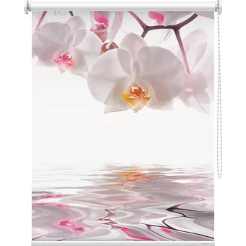 Roleta Fotoroleta - Orchidej bíla 2 Látka: Zatemňující