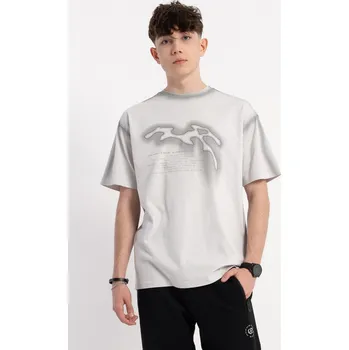 Chlapecké tričko Reporter Young | Chlapecké světle šedé tričko s abstraktním potiskem a nápisem ‚Eternal chaos‘ - Barva ŠEDÁ, Velikost 164 253-0440B-10-110-1