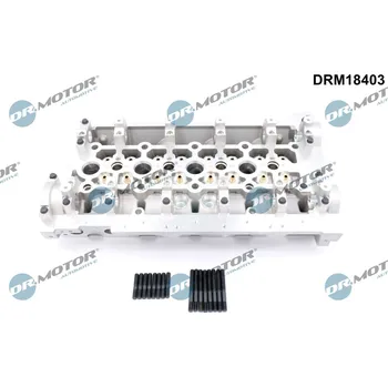 Válec motoru Hlava válce Dr.Motor Automotive DRM18403