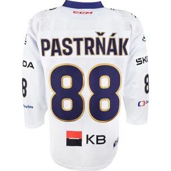 Originální hokejový dres Český hokej 24/25 bílý