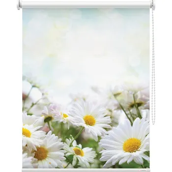 Roleta Fotoroleta - Sedmikrásky Látka: Zatemňující