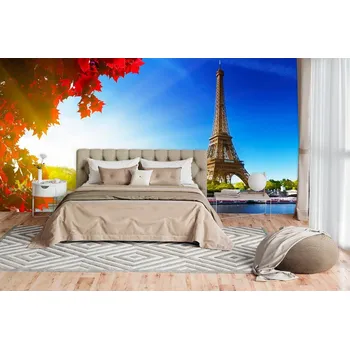 Fototapeta Fototapeta na zeď - Paříž Typ: Samolepící vinylová