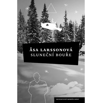 Kniha Sluneční bouře - Åsa Larssonová (2011) [E-kniha]