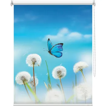 Roleta Fotoroleta - Motýl s pampeliškou Látka: Zatemňující