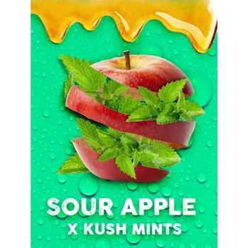 Semeno Tramuntana Seeds - Apple Mints 3 ks