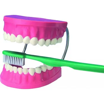 auto na autodráhu Vzdělávací sada Velký model pro dentální péči