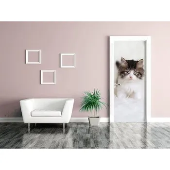 Fototapeta Samolepící fototapeta na dveře - Kotě