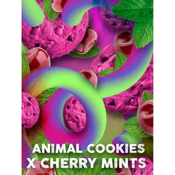Semeno Tramuntana Seeds - Cherry Cookies Mints 3 ks