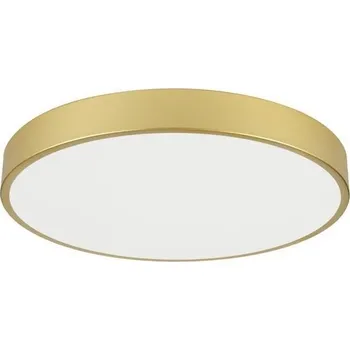 Immax NEO 07293L - LED+CCT Stm strop svítidlo SEMPLICI 60W/230V pr. 60 cm+DO