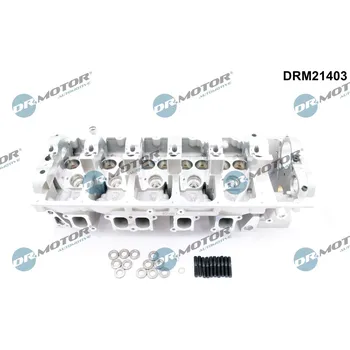 Válec motoru Hlava válce Dr.Motor Automotive DRM21403