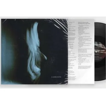 Zahraniční hudba Tom Odell - A Wonderful Life (LP, 4451652)