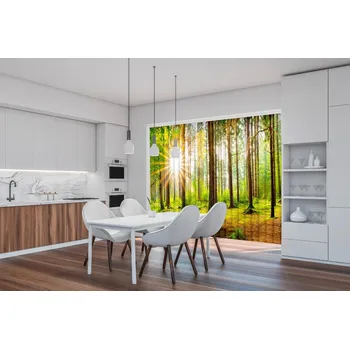 Vertikální fotožaluzie - Sluneční paprsky v lese Látka: Zatemňující