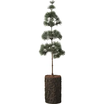 Vánoční stromek Ib Laursen Umělý stromek Cedar Tree 60 cm zelený