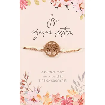 Náramek Náramek - Jsi úžasná sestra