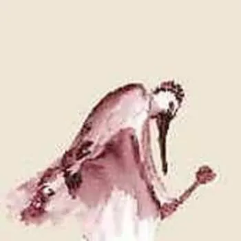 Zahraniční hudba CD From Quagmire: Habitats In The Wound 2005