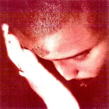 Hudba LP Nourished by Time: The Passionate Ones 2025 Crystal Clear Vinyl