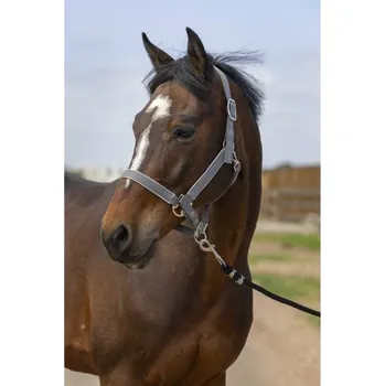 Ohlávka EQUITHEME Nylon Light grey FULL