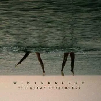 Zahraniční hudba LP Wintersleep: The Great Detachment CLR 2025 Coloured Vinyl Marble Edition