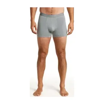 Pánské termo spodní prádlo Icebreaker Mens 125 ZoneKnit Boxers, Alloy
