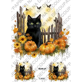 Umělecký papír Rýžový a soft papír na decoupage - Černá kočka a dýně - KB02076 Materiál: Soft, Rozměr: A4