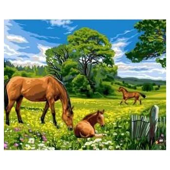 Dětské zboží Malowanie po numerach 40x50cm Konie na łące