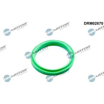 Těsnění motoru Těsnicí kroužek, hadice plnicího vzduchu Dr.Motor Automotive DRM02670