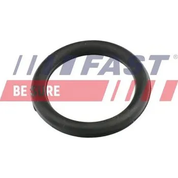 Těsnění motoru FAST FT49420 Těsnění, koleno sacího potrubí (FT49420)