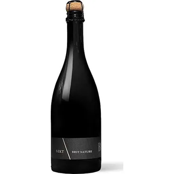 Víno B\V vinařství, Sekt 2023, 0,75 l, 13,5 % vol.