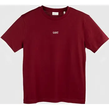 Pánské oblečení TRIČKO GANT SMALL GRAPHIC SS T-SHIRT PLUMPED RED