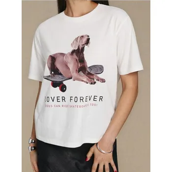 Sinsay - Tričko s krátkým rukávem - krémová - 204IN-01X - 204IN-01X-XS