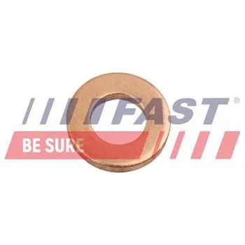 Systém vstřikování FAST FT49846 Těsnicí kroužek, držák trysky (FT49846)