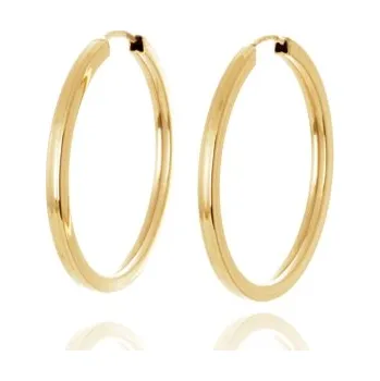 Náušnice Náušnice kruhy ze žlutého zlata 22 mm NA1809F + Dárek zdarma