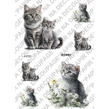 Umělecký papír Rýžový a soft papír na decoupage - Kočka šedá - KB2151 Materiál: Soft, Rozměr: A4