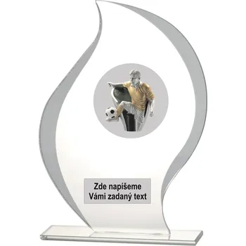 VIZINGR Nohejbal sklo S14-L379