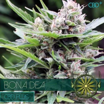 Semeno Vision Seeds - Bona Dea CBD+ 3 ks
