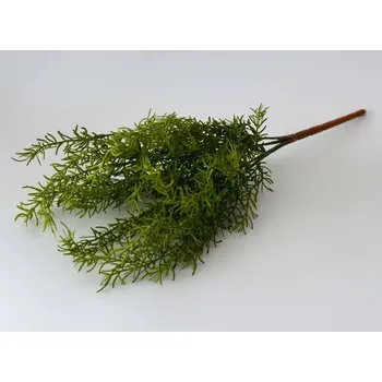 umělá květina Umělé květiny - Asparagus zelený
