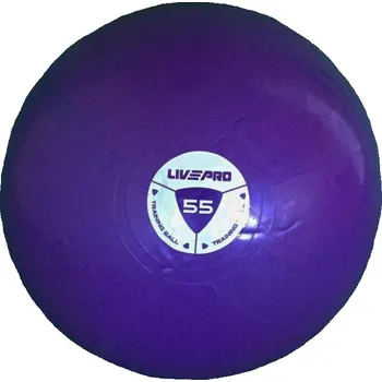 Gymnastický míč Livepro Míč gymball STUDIO FIT EXERCISE 55 cm 55 cm