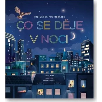 Co se děje v noci - Emily Bone - 978-80-256-3903-0